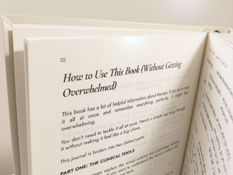 Page from the journal titled 'How to Use This Book, Without Getting Overwhelmed'